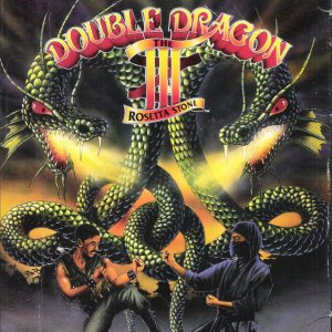 Double Dragon 3